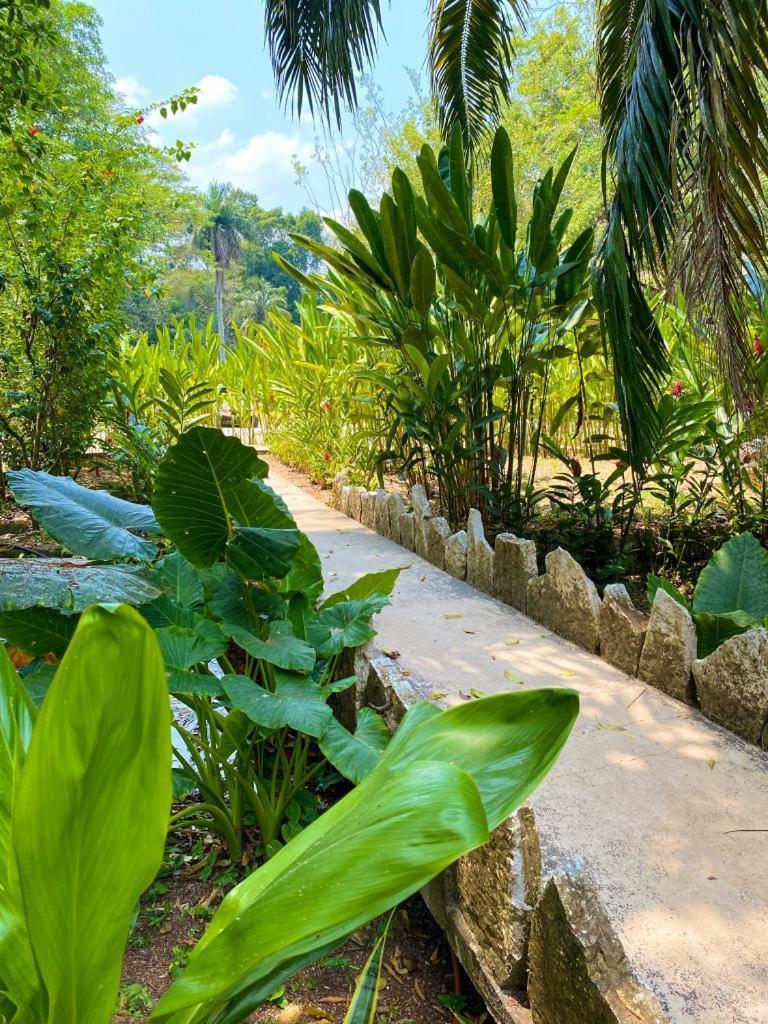 Hotel Maya Bell Palenque Exterior photo