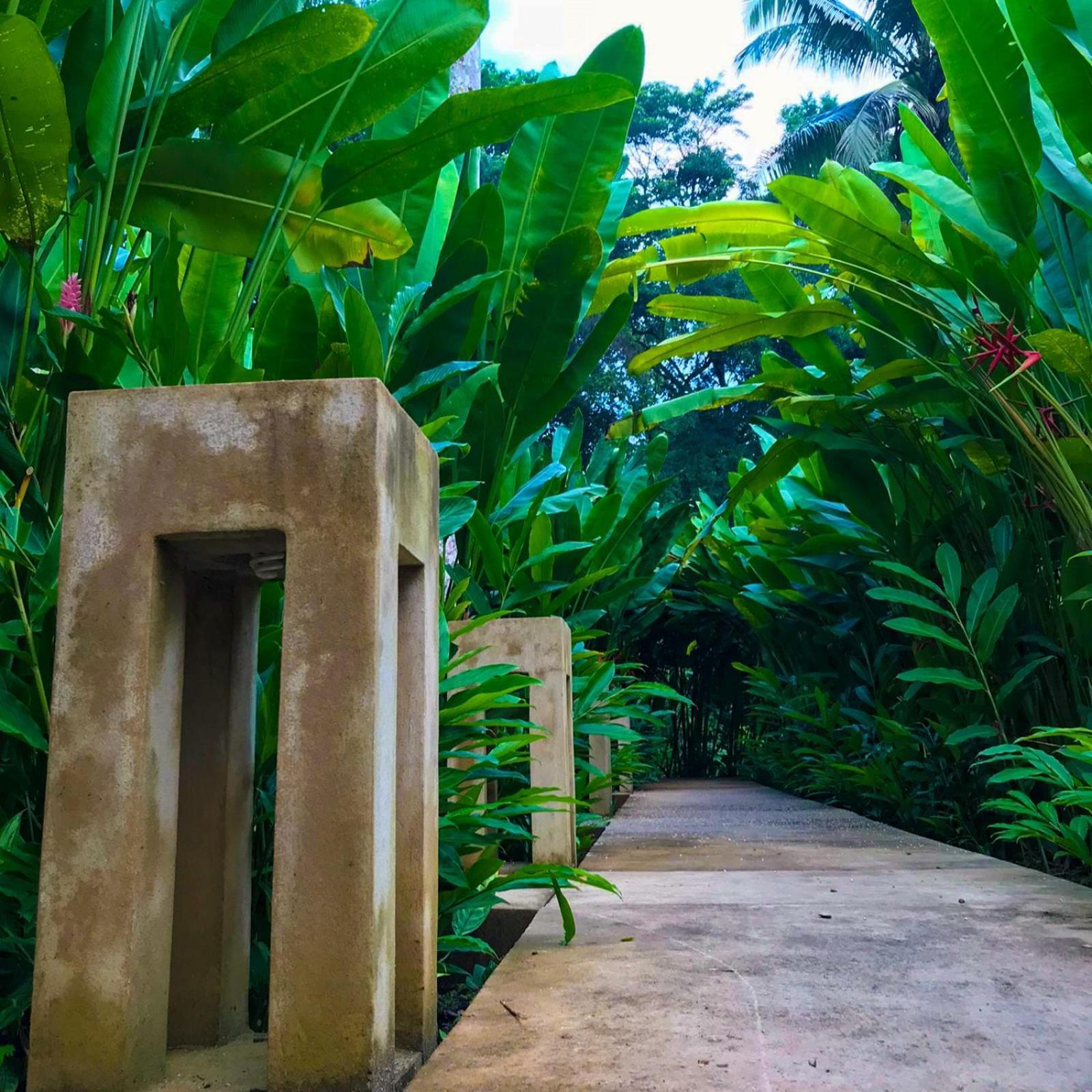 Hotel Maya Bell Palenque Exterior photo